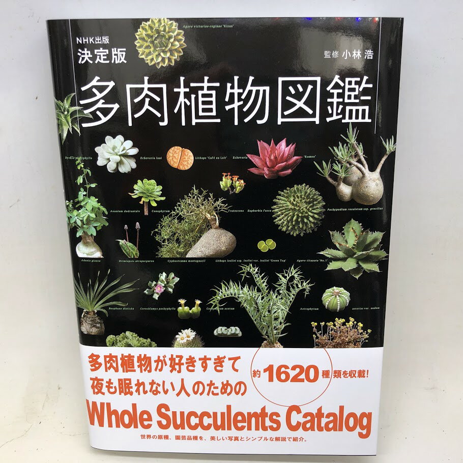 Rakuten - 本：決定版 多肉植物図鑑*資材