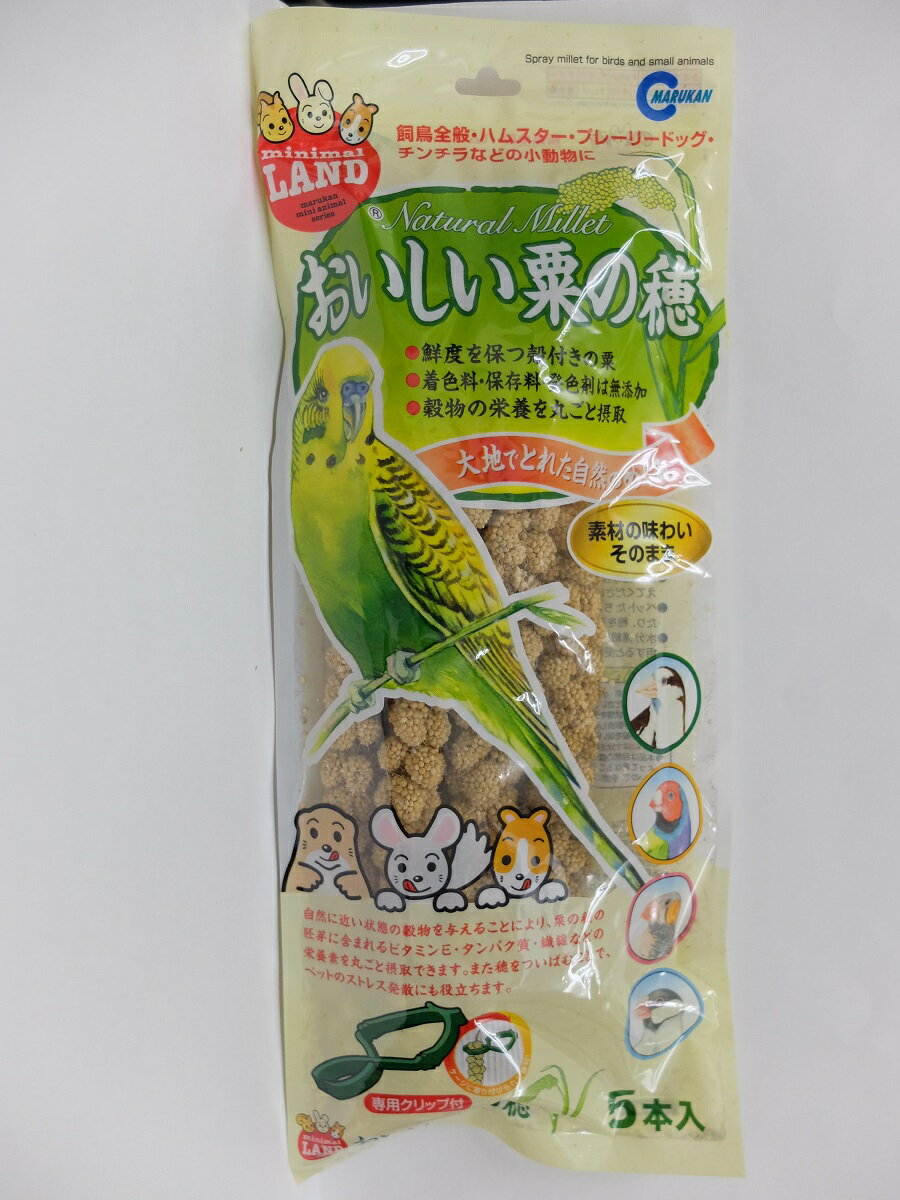 マルカンおいしい粟の穂5本入（専用クリップ付き）