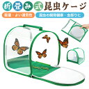 折り畳み虫かご 昆虫ケージ 昆虫飼育箱 虫かご 蝶ケージ 昆虫観察 蝶 爬虫類 折りたたみケージ 飼育ケース 軽量 通気性 ネット メッシュ 透明 繁殖 バタフライケージ 蝶/バッタ/シルクワーム/グローバーム生息地 植物ケージ 標本箱 昆虫孵化 昆虫採集 ハンドル付き