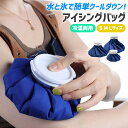 氷嚢 アイシングバッグ 3サイズ 氷のう 熱中症対策 暑さ対策 アイシング アイスバッグ 結露なし 水漏れ防止 冷却パック 冷温兼用 応急処置 スポーツ 首 腕 足首 肩 膝 肘 発熱 広口 大口径 折畳み式 アウトドア 氷枕 お湯 温 S/M/L 腫れ痛み軽減 家庭常備品 ブルー