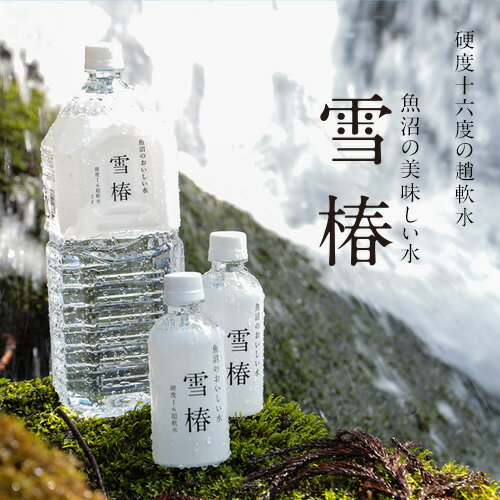 楽天越後雪椿産業株式会社魚沼のおいしいお水雪椿水 290ml×40本 「雪椿」 新潟県 水 宅配 持ち運び ペットボトル飲料 お水 超軟水 硬度16 ミネラルウォーター 水ペットボトル やわらかい water 健康 美容 自然の恵み天然水 軟水 おいしい水