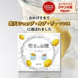 聖者の炭酸【純国産】重曹クエン酸水　食用重曹×食用クエン酸　持ち運びしやすい個包装　各30包 計60包　アルミニウムフリー