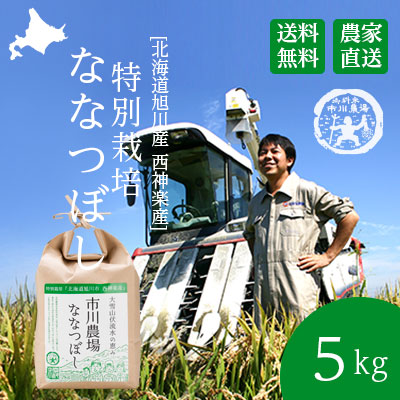 令和2年産【農家直送】市川農場の市川農場の「ななつぼし」5kg【北海道旭川産】【送料無料】