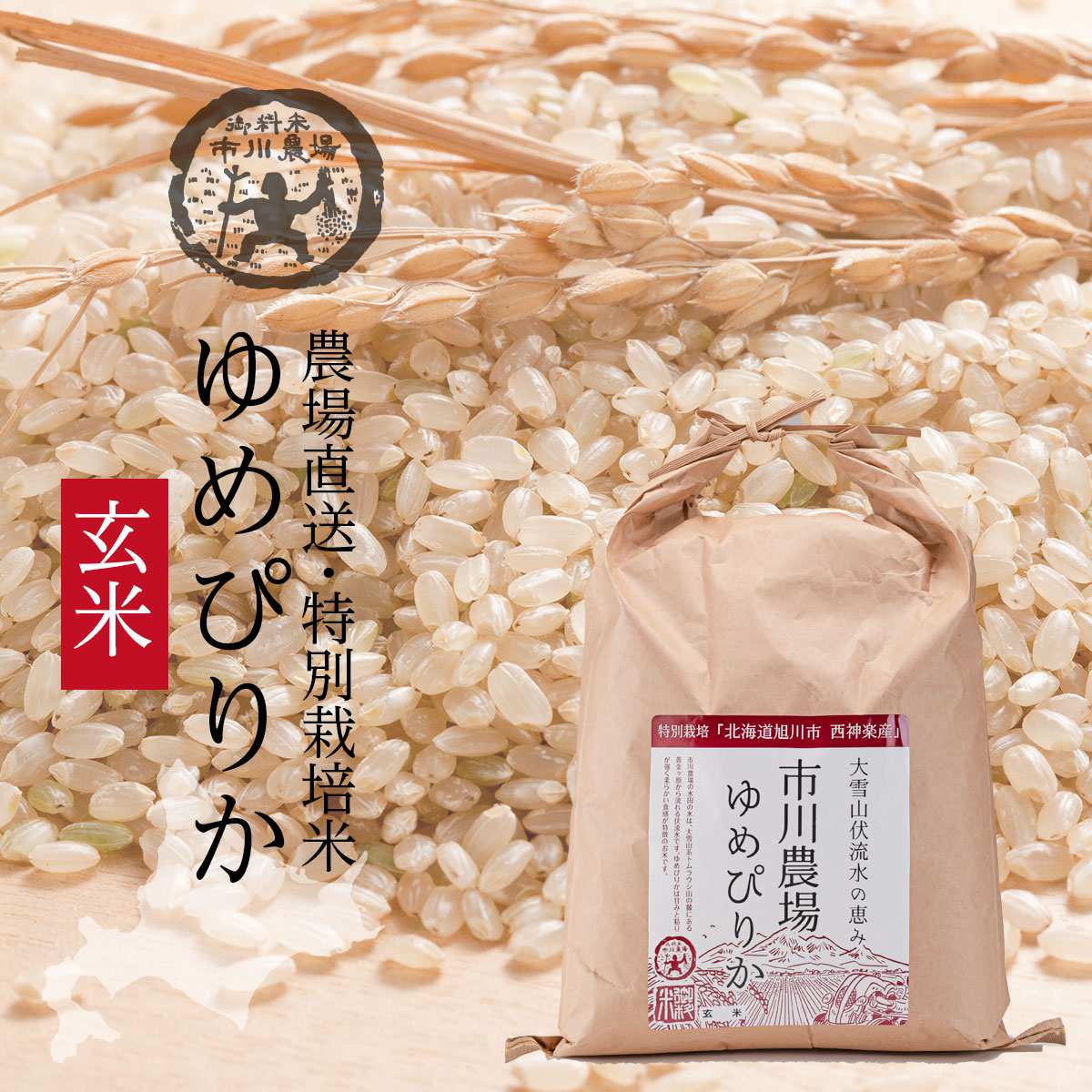 楽天市場】ゆめぴりか玄米 10kgの通販