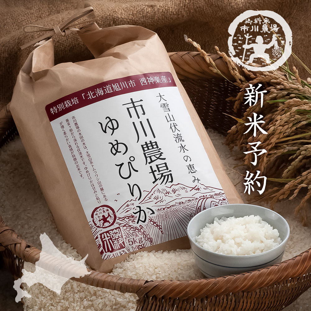 【新米予約】ゆめぴりか 20kg(5kg×4) 送料無料 新米 北海道米 農家直送 令和6年産 北海道旭川産 お米 米 直前精米 ギフトのサムネイル