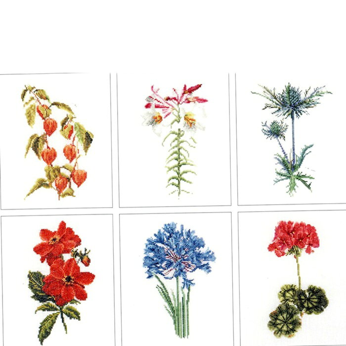 Bloempatronen 2 花の図案2 オランダ THEA GOUVERNEUR クロスステッチキット3082A 輸入刺繍キット 6種類の花の図案
