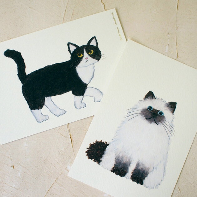 Rakuten - 猫 ポストカード 米津祐介 絵葉書 絵はがき 文房具 ステーショナリー 猫雑貨 ネコグッズ ねこ 猫柄 キャット グリーティングライフ