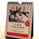 カレンダー 猫 2026年 人生はニャンとかなる! 週めくり 卓上 壁掛け兼用 猫のカレンダー 文房具 ステーショナリー 猫雑貨 ネコグッズ ねこ キャット