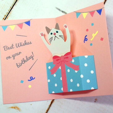 【猫のグリーティングカード】猫のポップアップ・飛び出す・揺れるグリーティングカード　白猫ターチャン　HAPPY BIRTHDAY（誕生祝）（フレンズヒル 猫雑貨 ネコグッズ ねこ キャット）EC
