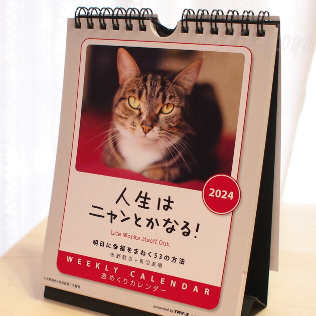 カレンダー 猫 2024年 人生はニャンとかなる！ 週めくり 卓上 壁掛け兼用 猫のカレンダー 文房具 ステーショナリー 猫雑貨 ネコグッズ ねこ キャット