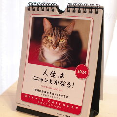 https://thumbnail.image.rakuten.co.jp/@0_mall/yukinekoya/cabinet/stationery3/imgrc0091222197.jpg