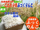 【北海道米】ふっくりんこ5kg【プロ御用達のお米】北海道深川...