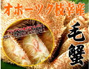 【訳あり】オホーツク枝幸産毛蟹セット【送料無料】毛蟹なんと約1.5キロセット【090525_モバイル ...