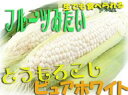 白いとうもろこし【送料無料】大ヒット !ピュアホワイト♪フル...