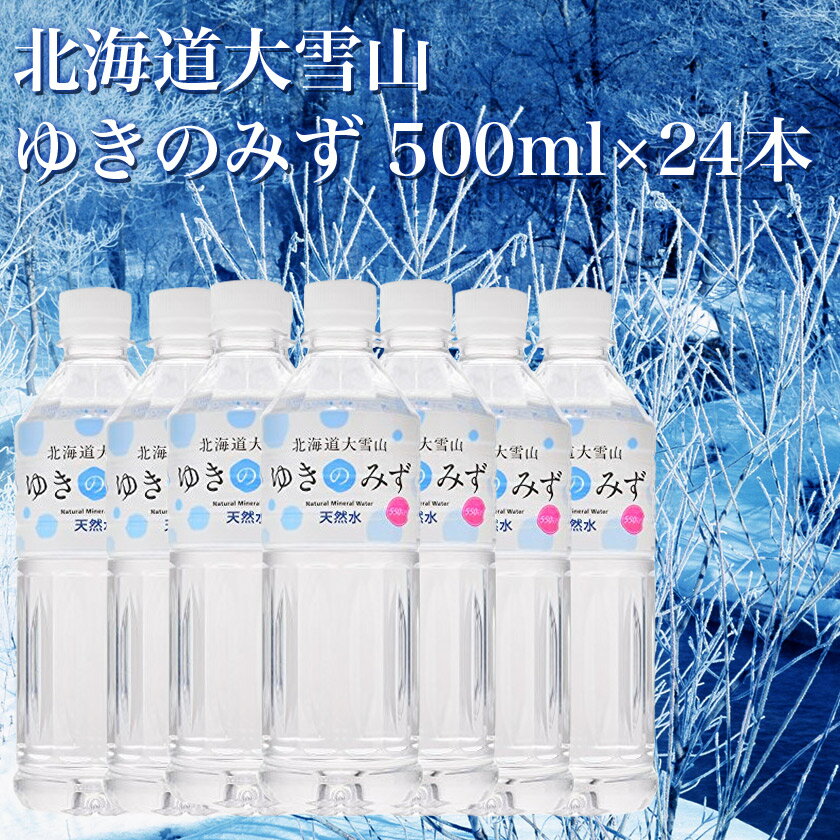 「TV おじゃMAP」で絶賛の水 送料無料 北海道 大雪山 ゆきのみず 500ml×24本 水 みず ホッカイドウ ほっかいどう