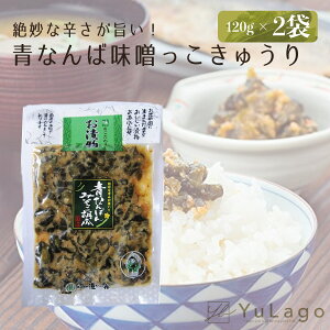 道奥 青なんばん みそっこ胡瓜 120g 2個 青唐辛子味噌 胡瓜 味噌漬け 南蛮味噌漬け ご飯のお供 岩手県 漬け物 ごはん ご飯 岩手 日本 つけもの 青唐辛子 おつまみ おかず キュウリ 胡瓜