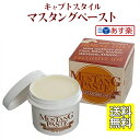 【本格 レザーケア製品】 レザーケアオイル マスタングペースト 100ml キャプトスタイル レザーケア 革 ケア メンテナンス レザー 送料無料 父の日 プレゼント ギフト