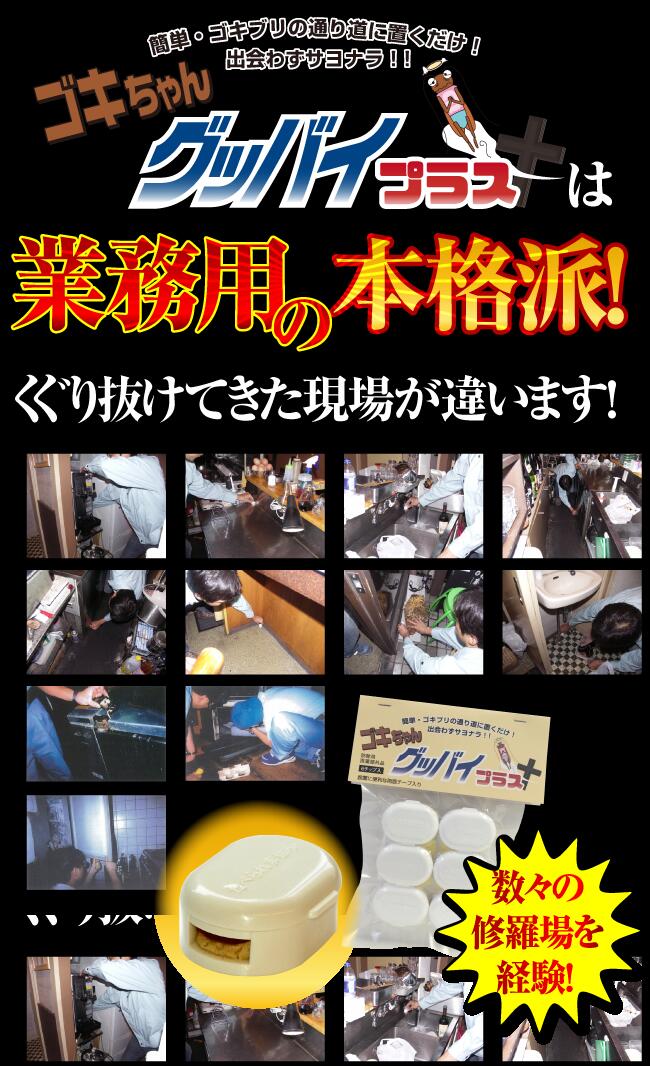 ゴキちゃんグッバイプラス6個入りtimes;3個セット医薬部外品