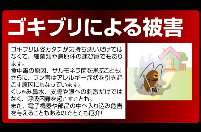 ゴキちゃんグッバイプラス6個入りtimes;3個セット医薬部外品