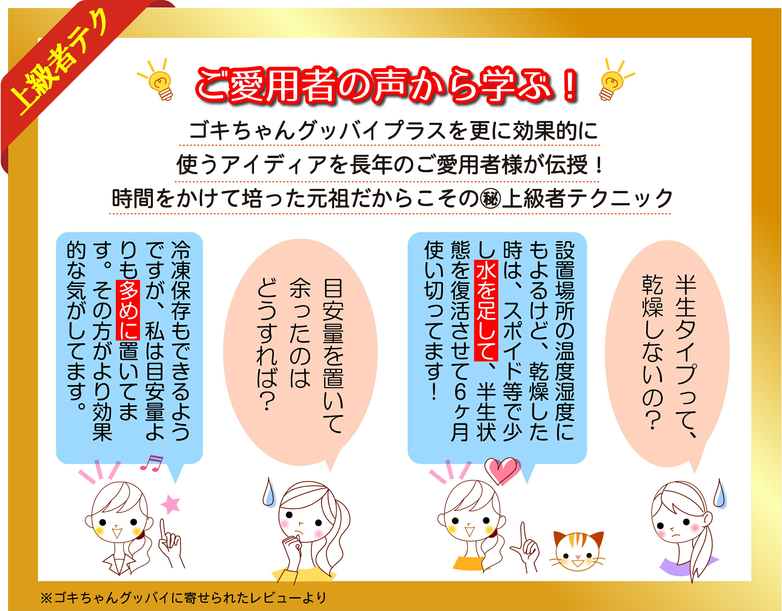 ゴキちゃんグッバイプラス+6個入りtimes;3個セット医薬部外品ゴキブリごきぶり駆除対策退治ゴキチャン家庭用屋内用ホウ酸ごきちゃんグッバイ