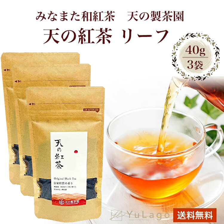 【3袋セット】 天の製茶園 天の紅茶 リーフ 40g無農薬 和紅茶 紅茶 水俣 国産 茶葉 おいしい 和食 和菓子 送料無料 父の日 プレゼント ギフト