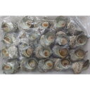 国産 姫さざえ磯焼 1kg(個約30-50g)x10P(P3250円税別) 業務用 ヤヨイ 特価品 限定品