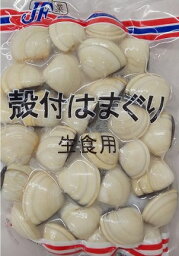 殻付はまぐり　500g（約21個〜30個）x20p（P560円税別）　生食用　業務用　はまぐり　ハマグリ