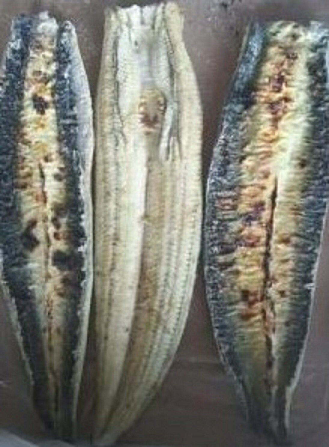 中国産　無頭背開き　うなぎ白焼 　ジャポニカ種　10Kg　60尾　kg7,540円税別　冷...