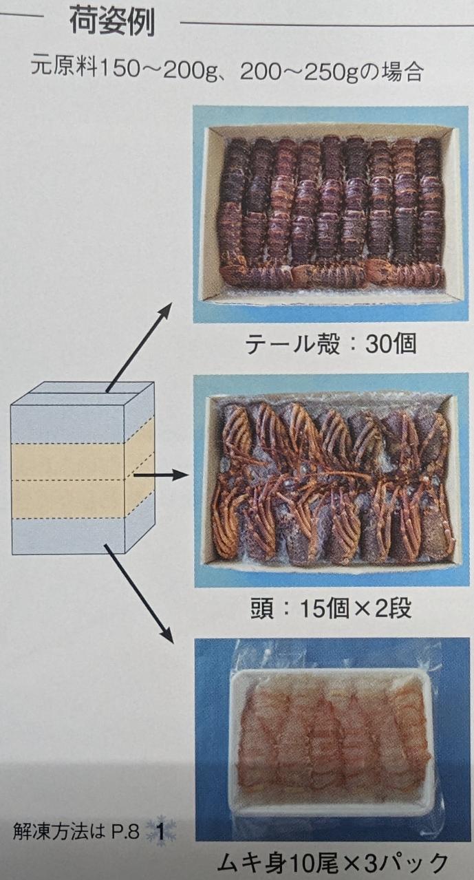 3分割加工　お刺身イセエビ　ロブスター加工品（イセエビ系）200-250g×30尾（尾1,510円税別）　冷凍　業務用　ヤヨイ　※150g、150-200g、250-300gも種類からお選び頂けます。 yukiyoshi84-e-10003234 品揃え豊富!業務用食品問屋ヤヨイ サンプル画像2