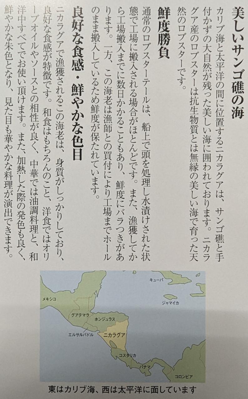 ���֥��������ơ��롡4���󥹡�5������113g����ˡ�8P��P6,050�����̡����ࡡ��̳�ѡ���襤