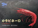 赤い悪魔 カラビネーロ 420g(3-4尾)×24枚(枚4,940円税別)冷凍 業務用 ヤヨイ