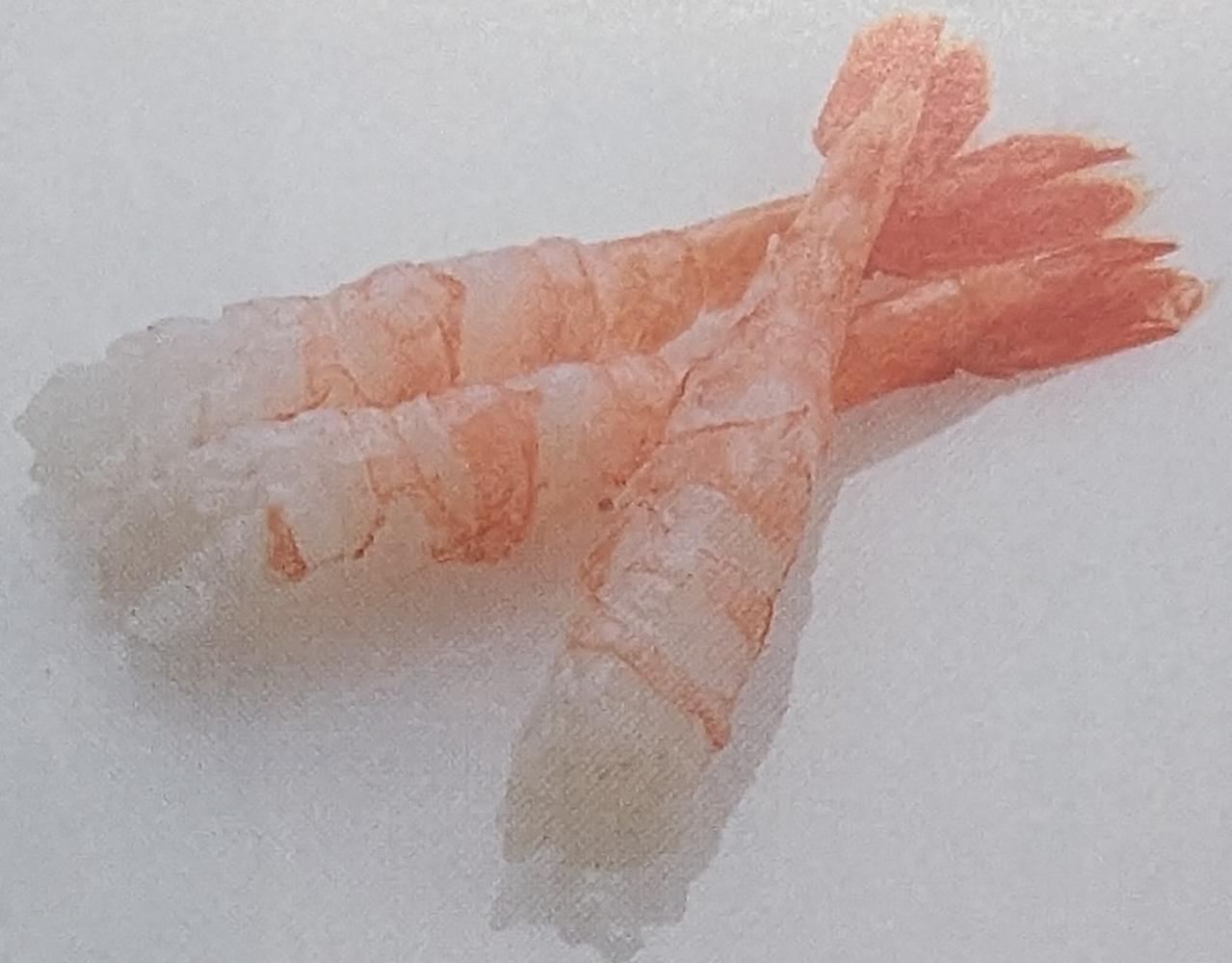 冷凍 尾付きムキ甘海老 L 20尾x40P(P450円税別)刺身用 業務用 ヤヨイ