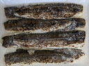 国産 炙り〆かます 紀州梅酢仕込み 約160g(約20g×8枚)×40P(P1,050円税別)冷凍 業務用 ヤヨイ
