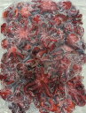イイダコ タコ玉子 M 1Kg(kg約30個)×12P(P4,300円税別)冷凍 業務用 ヤヨイ