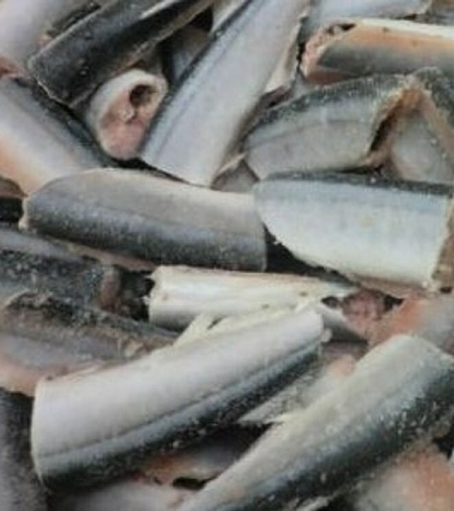 頭無し　さんま筒切　30g×400個（個50円税別） 秋刀魚　業務用　ヤヨイ