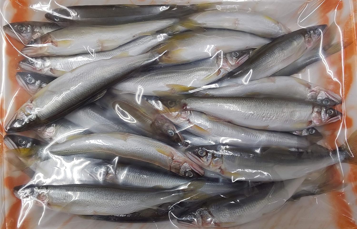国産(滋賀県)天然若鮎 特大 500g(尾13-16g前後)x20P(P1,560円税別)冷凍 業務用 ヤヨイ