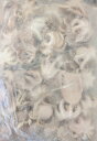 ベトナム産 生いいだこ1kg(26-40個)x10P(P2050円税別)冷凍 業務用 ヤヨイ