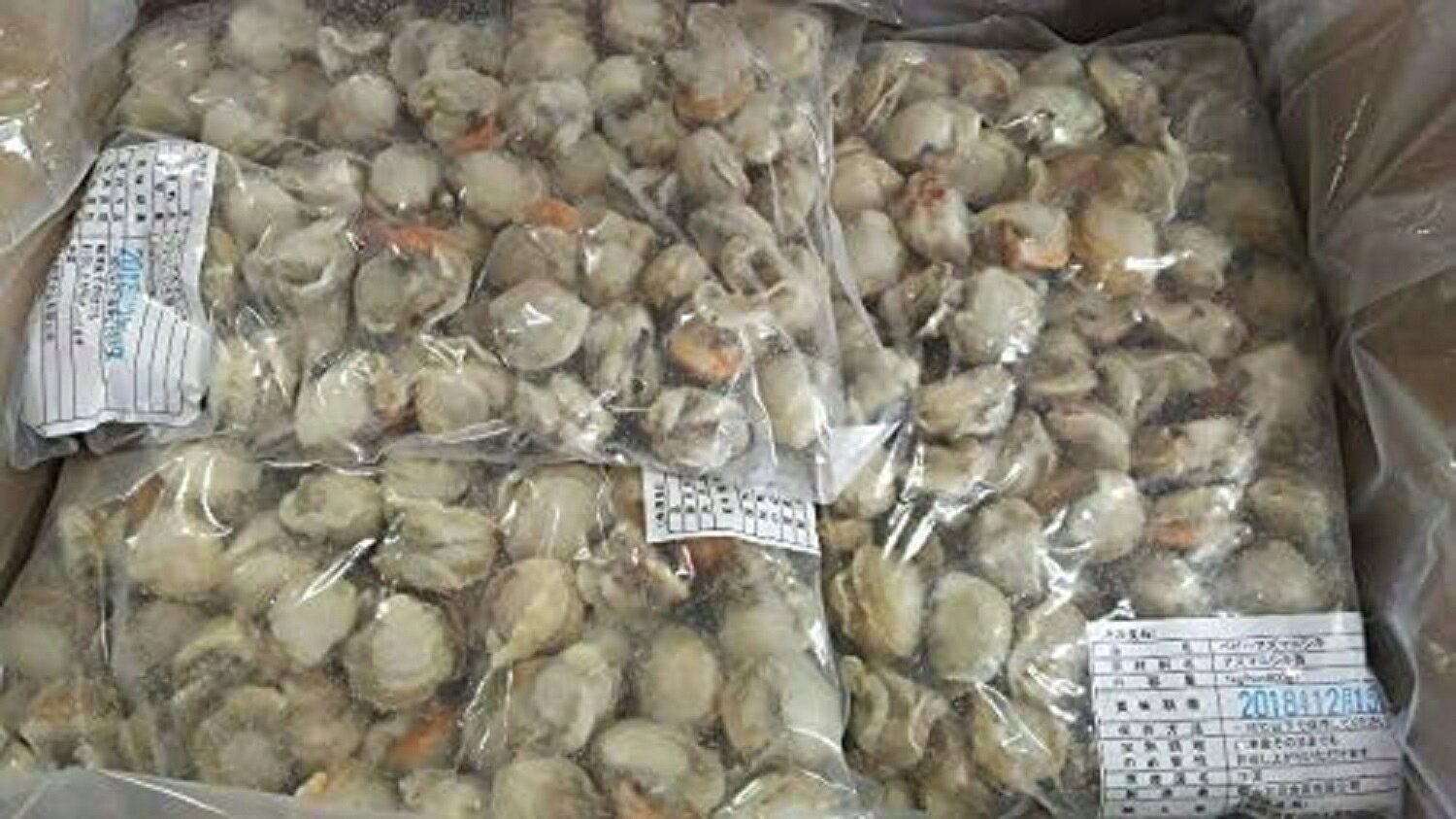 品揃え豊富!業務用食品問屋ヤヨイのあずま錦　ベビー帆立　L　1Kg（81-100粒）×10P（袋1300円税別）各サイズあり　冷凍　業務用　ヤヨイ｜アングル2
