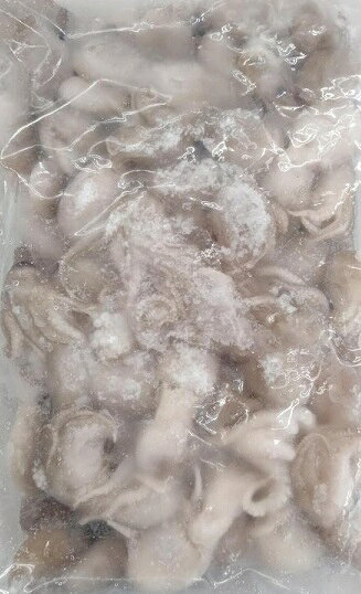 タイ又はベトナム産　生いいだこ　2kg×6P ( P約52-80匹 )　P3,000円税別　アイスブロック　飯蛸　加熱用　冷凍　業務用　ヤヨイ yukiyoshi84-e-10002639 品揃え豊富!業務用食品問屋ヤヨイ サンプル画像2