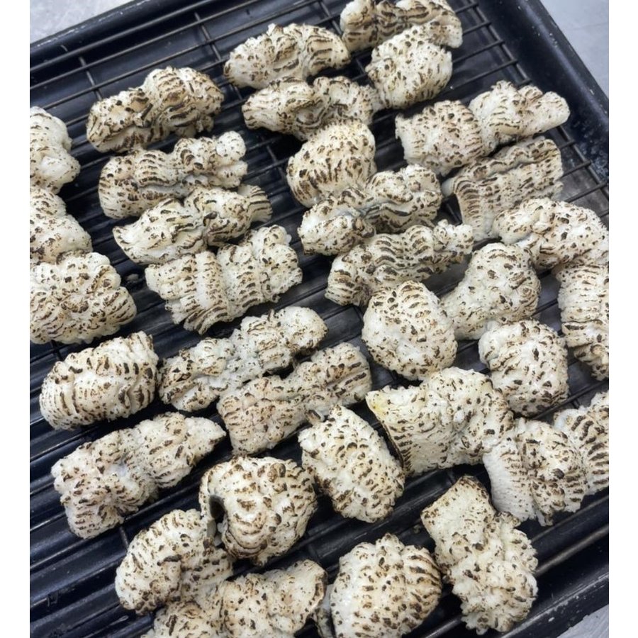 品揃え豊富!業務用食品問屋ヤヨイの国産（愛媛・兵庫県）天然　湯引き鱧　(炙り又は湯引き)　500g（個約15g）x20P（P2,400円税別）冷凍　業務用　ヤヨイ｜アングル2