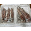 国産　天然　剣先イカ　20P（P600-900g）P2-4入　Kg2,900円　業務用　ヤヨイ　不定貫商品