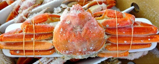 カナダ又はロシア産　ボイルずわい蟹　姿　3kg×2箱（箱5尾）kg4,500円税別　他サイズも選べます。限定品　冷凍　業務用　ヤヨイ 2