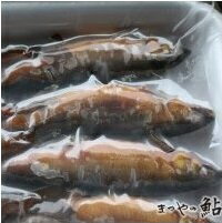 �񻺡����ʸл��˻һ���������Ϫ�ѡ�10����10P��P3900�����̡ˡ���̳�ѡ���襤