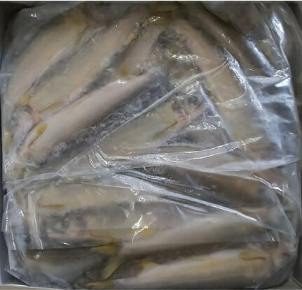 񻺡ʰθˡढ桡1kg10PP25P2,080̡ʡ̳ѡ襤