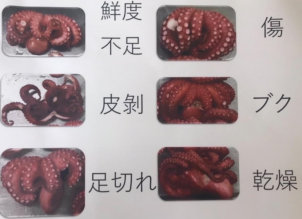 海外産　ボイル真たこ（2又は3級品）10Kg（Kg2,570円税別）BQF　業務用　ヤヨイ