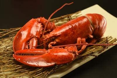 ʥUHPޡ֥ѡ28350/400g1,690̡䡡̳ѡࡡ¾24400/450g...