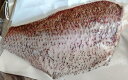 国産 養殖 真鯛フィーレ 皮付き又は皮なし 約14Kg(Kg3,100円税別)冷凍 業務用 ヤヨイ