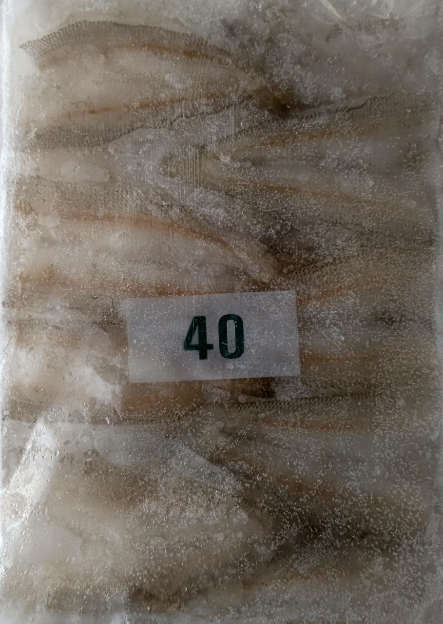 ��������������������IQF��550g��20P��P1,240�����̡�20����40�������ࡡ��̳�ѡ���襤