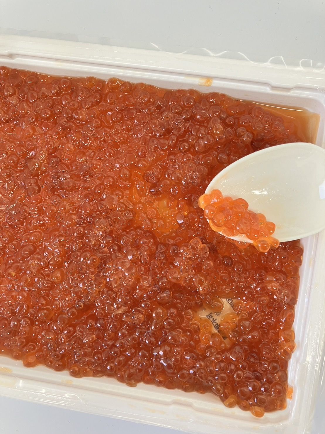 ����ù������������顡����500g��20P��P5,230�����̡����ࡡ��̳�ѡ���襤