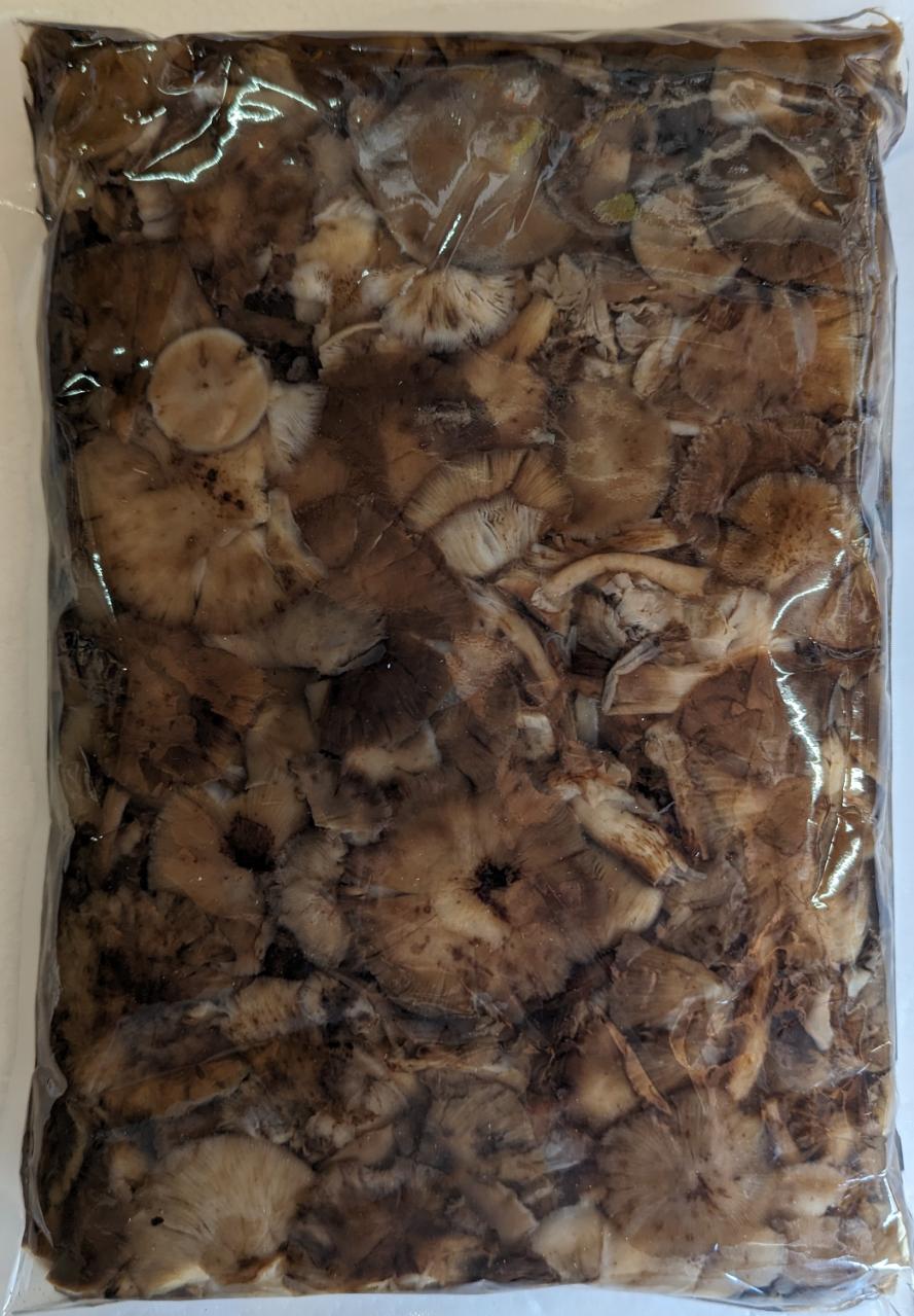 中国産　もたし茸（ナラ茸）水煮　1Kg×15P（P1,950円税別）業務用　ヤヨイ　きのこ